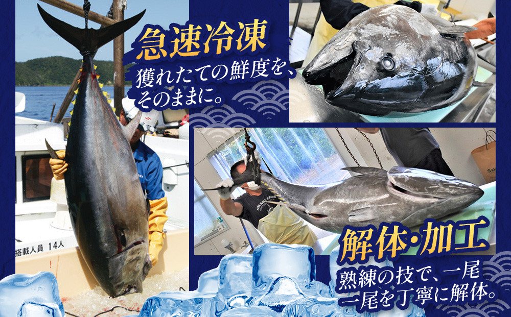 【3回定期便】奄美大島産養殖クロマグロ 4柵セット 900g以上