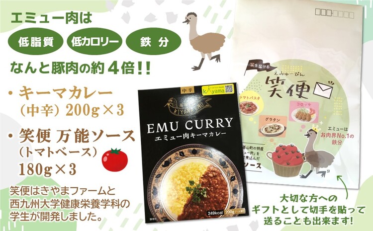 エミューキーマカレー(中辛)・笑便(万能ソース)【エミュー 基山産 高タンパク 高鉄分 低カロリー ヘルシー 貴重肉 鉄分補給 簡単 手軽 カレー スパゲッティ パスタ レトルト】 A1-J00600