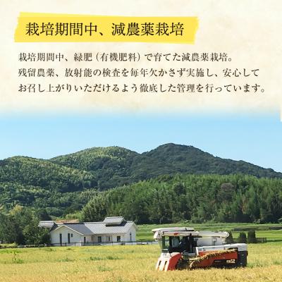 ふるさと納税 淡路市 【定期便】野添農園のコシヒカリ5kgx12ヶ月「ひょうご安心ブランド」　as03009 |  | 01