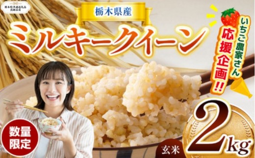 【栃木県共通返礼品】【先行予約】 訳あり 数量 限定 定期便 令和8年度産 ミルキークイーン 約 2kg | とちぎの星 ミルキークイーン  玄米 白米 ごはん おいしい  ふるさと納税 那珂川町 栃木県