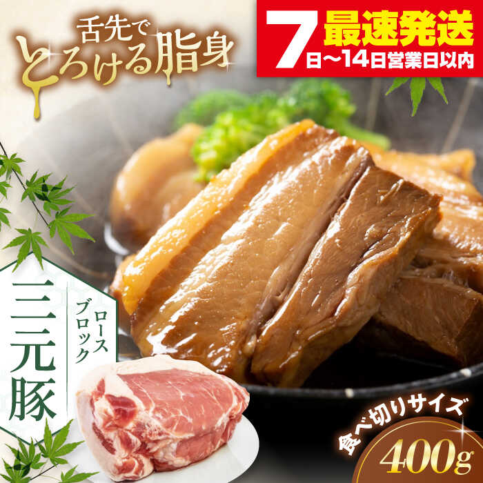 【ふるさと納税】北海道 平田牧場 ロース ブロック 400g 《喜茂別町》【平田牧場】 肉 豚肉 ロース ブロック ローストポーク 煮豚 酢豚 煮物 冷凍 冷凍配送 北海道 平田牧場 三元豚 [AJAP164] 8000 8000円 8千円