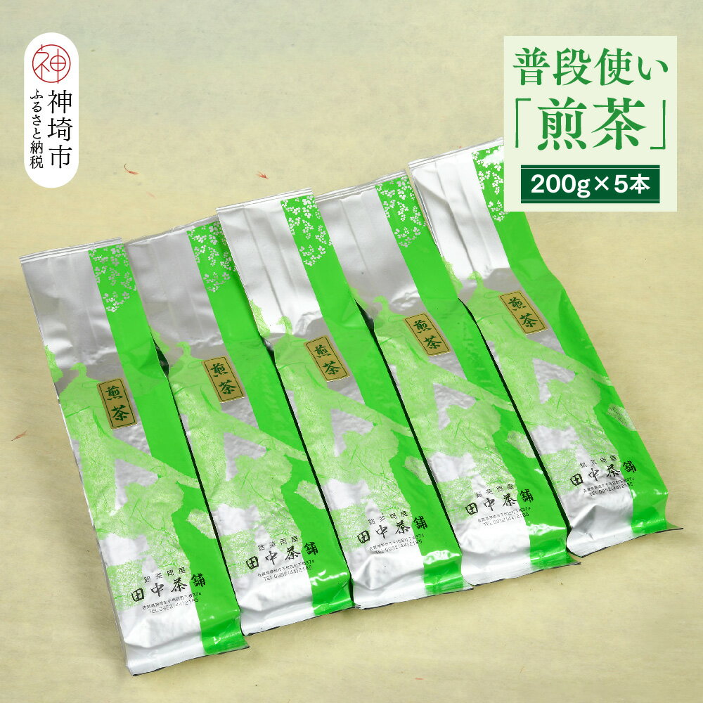 【ふるさと納税】普段使いに「煎茶」200g×5本【佐賀県産 銘茶 嬉野茶 知覧茶 まろやか コク 香り】(H047131)