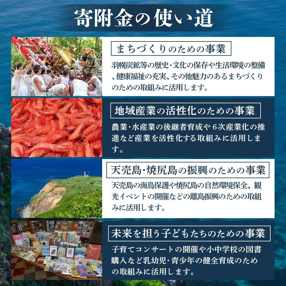 北海道羽幌町への応援寄付　返礼品なし　1口 1,000円【99001】