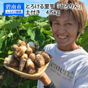 【ふるさと納税】さといも 里芋 とろける里芋 『とろりん』 土付き 4.5kg 国産 冷凍 長期保存 子芋 孫芋 送料無料