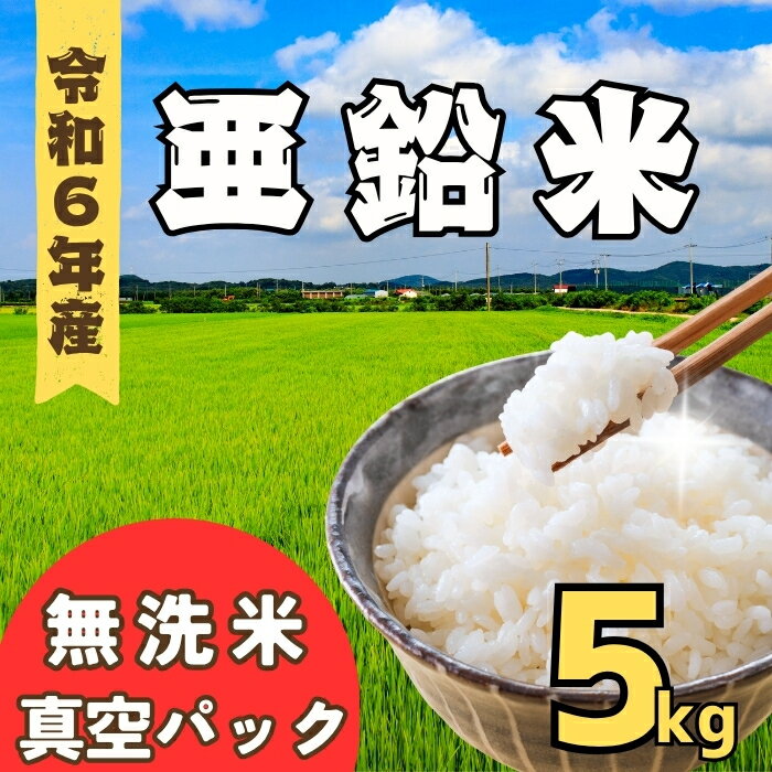 【ふるさと納税】 [令和6年産] 亜鉛米（コシヒカリ） 無洗米 5kg 真空パック(6-59C)【 米 コシヒカリ こしひかり 長野県 飯山市 ギフト プレゼント 父の日 母の日 敬老の日 お歳暮 御歳暮 令和6年 6年産米】