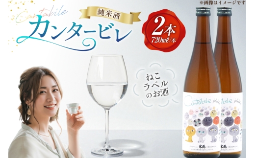 日本酒 辛口 純米カンタービレ 720ml 2本 セット [米鶴酒造 山形県 高畠町 tk06ays710013] 酒 お酒 米 720 晩酌 淡麗 すっきり