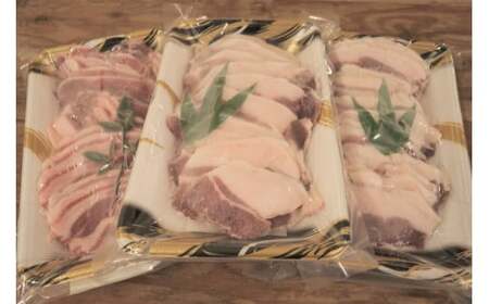 新見産 天然猪肉 極上詰め合わせ スライス肉 約300g×3 【12月上旬～8月下旬頃発送】
