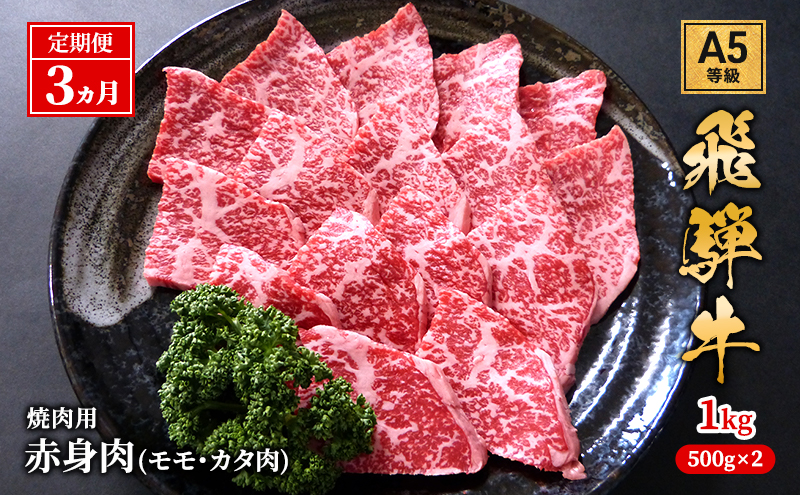 【定期便3ヶ月】牛肉 飛騨牛 焼き肉 セット 赤身 モモ 又は カタ 1kg 黒毛和牛 Ａ5 美味しい お肉 牛 肉 和牛 焼肉 BBQ バーベキュー 【岐阜県池田町】