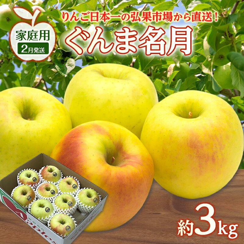 【ふるさと納税】りんご 【 2月発送 】 家庭用 ぐんま名月 約 3kg　リンゴ 林檎 青森りんご 糖度 13度 甘い 酸味 デザート フルーツ 果物 お取り寄せ 産地直送 旬 季節限定 弘果物流 青森県 西目屋村 西目屋村産　お届け：2027年2月中