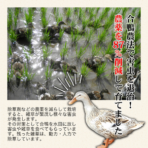 【令和7年産】農薬87%削減　コシヒカリ米　合鴨農法　10kg(特別栽培米、旧名：会津磐梯山黄金米