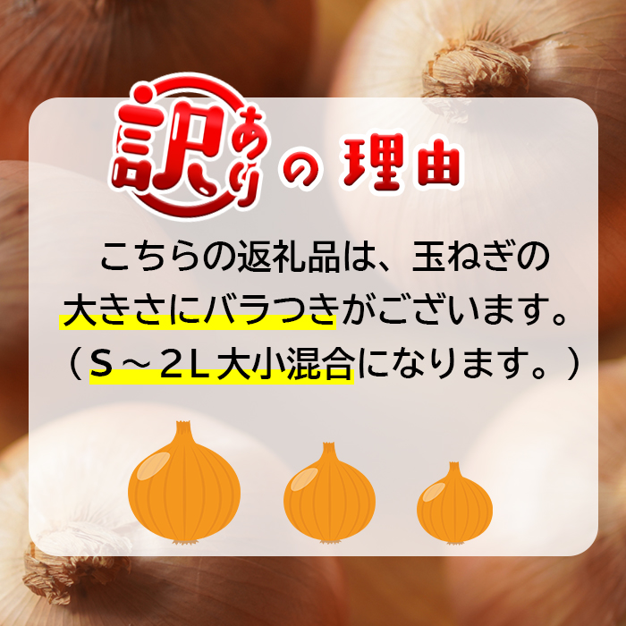 【訳あり】今井ファームの淡路島たまねぎ 10kg【サイズ混合