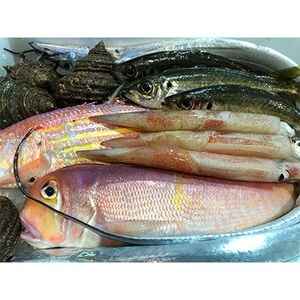 竹中水産の「豪華鮮魚ボックス約4キロ」!【H22-234】【配送不可地域：離島・北海道・沖縄県】【1070934】