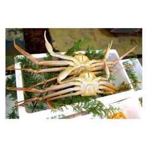 先行予約 松葉ガニ 生なま 2枚 年明け 配送 着日指定不可 北海道、沖縄、一部離島への配送不可 松葉がに