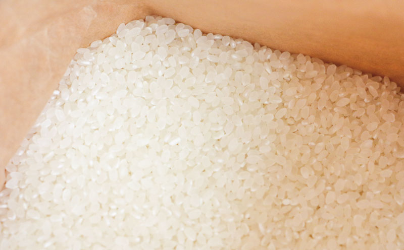 新米 特別栽培 コシヒカリ 5kg 令和7年度産 先行予約 伊達米 グローバルGAP取得 ワールドファーマーズ お米 米 ごはん ブランド米 特別栽培米 美味しい お弁当 弁当 おにぎり ふっくら ツ