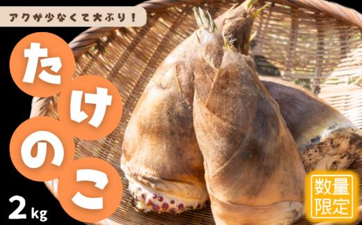 
アクが少なくて大ぶり！我孫子市産 たけのこ 2kg
