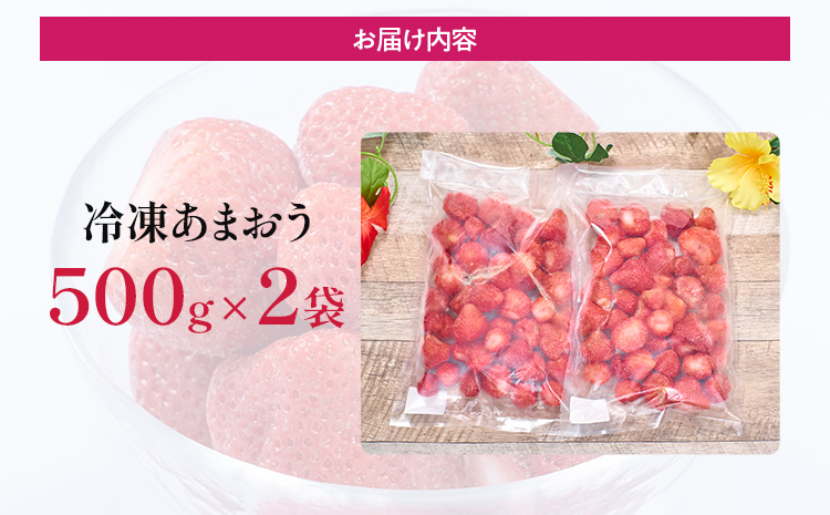 福岡産 冷凍あまおう 1kg(500g×2袋) あまおう イチゴ いちご 