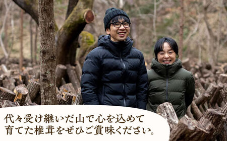 【11月上旬から順次発送】ひじかわの原木生椎茸 約1kg しいたけ 野菜 椎茸 干ししいたけ きのこ[AGBO001]