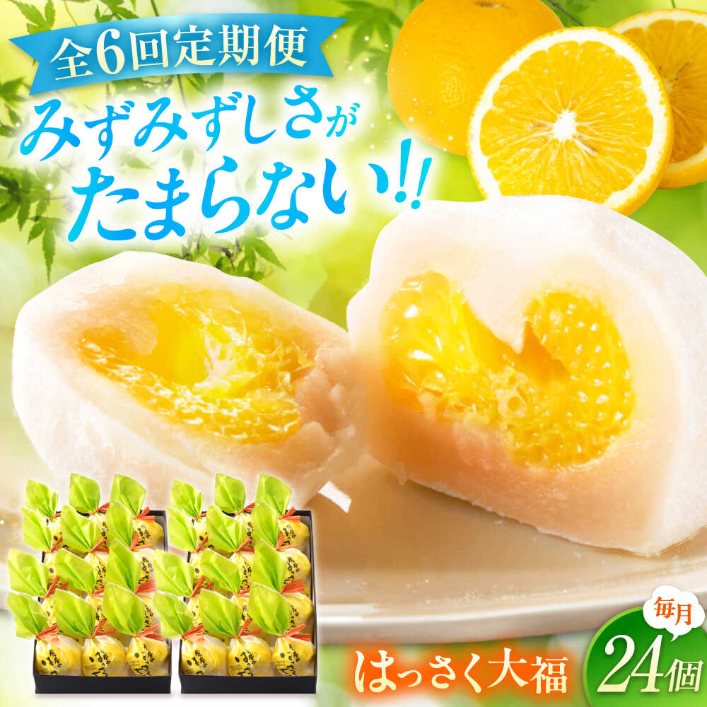 【ふるさと納税】【6回定期便】お菓子 はっさく大福 12個入×2　 お菓子 大福 八朔 柑橘 みかん オレンジ はっさく 餅 ギフト お取り寄せ スイーツ フルーツ大福 ご当地 菓子 おかし デザート 食品 人気 おすすめ 広島県福山市/株式会社虎屋本舗[BADH019]