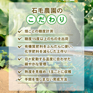 ＜2025年先行予約＞ ブランドメロン 飯岡メロン 3L サイズ × 4玉 セット ブランドメロン ( 計 約5.4kg ) メロン メロン メロン