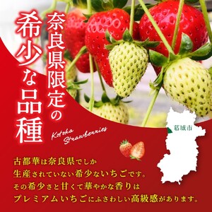 (冷蔵)大粒 古都華 イチゴ 2パック / 寺田農園 希少 プレミアム 高糖度 酸味 バランスの良い 苺 奈良県 葛城市【trdf001】