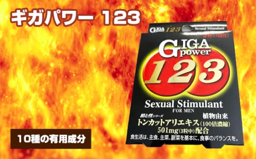 No.309 ギガパワー 123 ／ サプリメント サプリ 大阪府