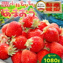 【ふるさと納税】【訳あり】 いちごの王様！【あまおう小粒もりもり】（4パック）1月から発送