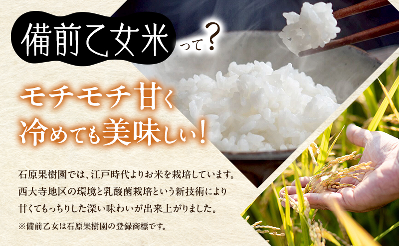 米 令和8年産 石原果樹園の備前乙女米 白米 10kg×1袋 ※11月上旬～順次発送予定 お米 精米 白米 ライス 乳酸菌栽培 岡山県 おにぎり お弁当