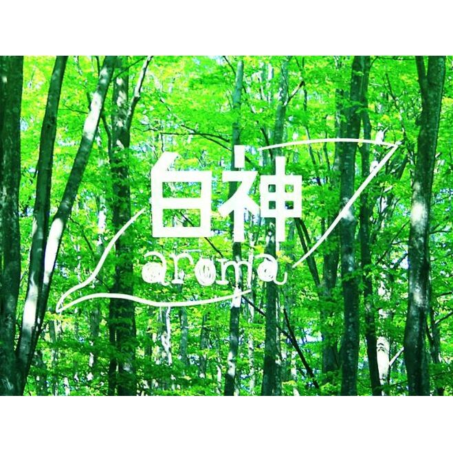 【白神アロマ研究所】5名様まで参加可能！白神クロモジ蒸留体験ツアー（昼食付）_イメージ4