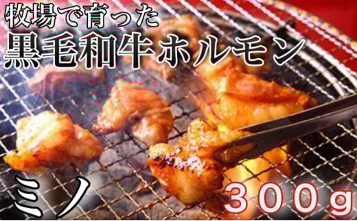 
            【数量限定】牧草で育った黒毛和牛ホルモン（ミノ）
          