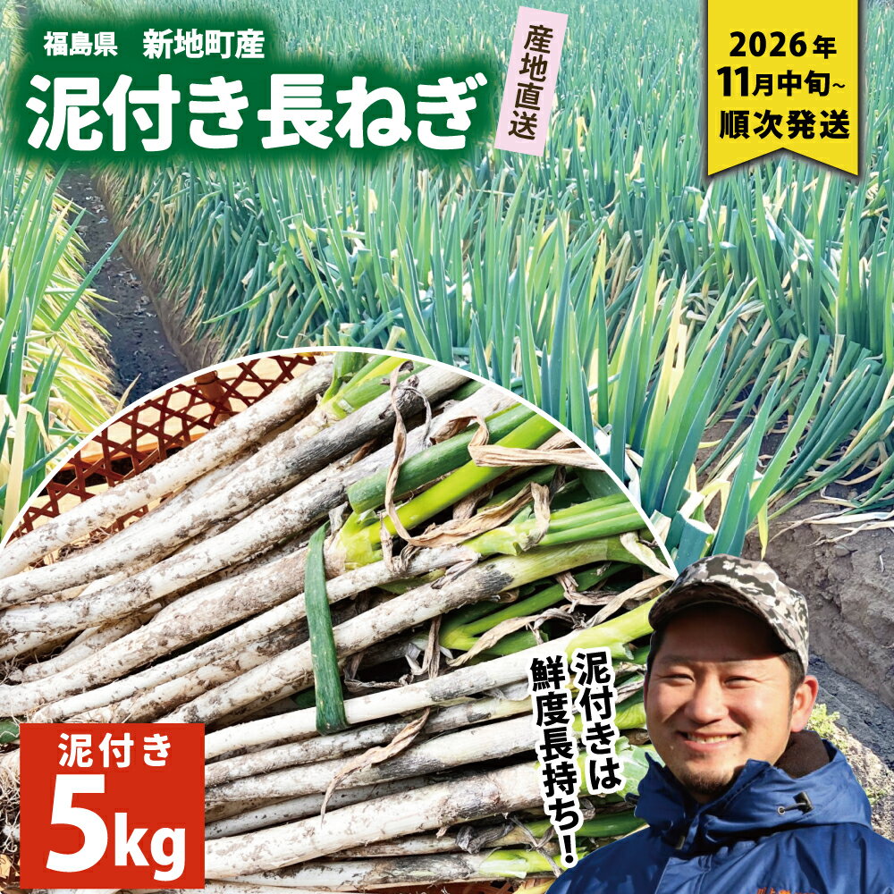【ふるさと納税】新地町産 泥付き 長ネギ 約5kg 1箱 | 野菜 やさい 食品 人気 おすすめ 送料無料 ねぎ ネギ 葱 長ねぎ お取り寄せ 福島県 新地町 白ねぎ 鍋
