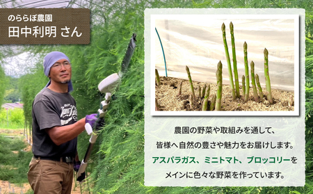 【のららぼ農園】農家直送！新鮮！夏獲れ太（L〜２L）アスパラ１kg（およそ25〜35本）