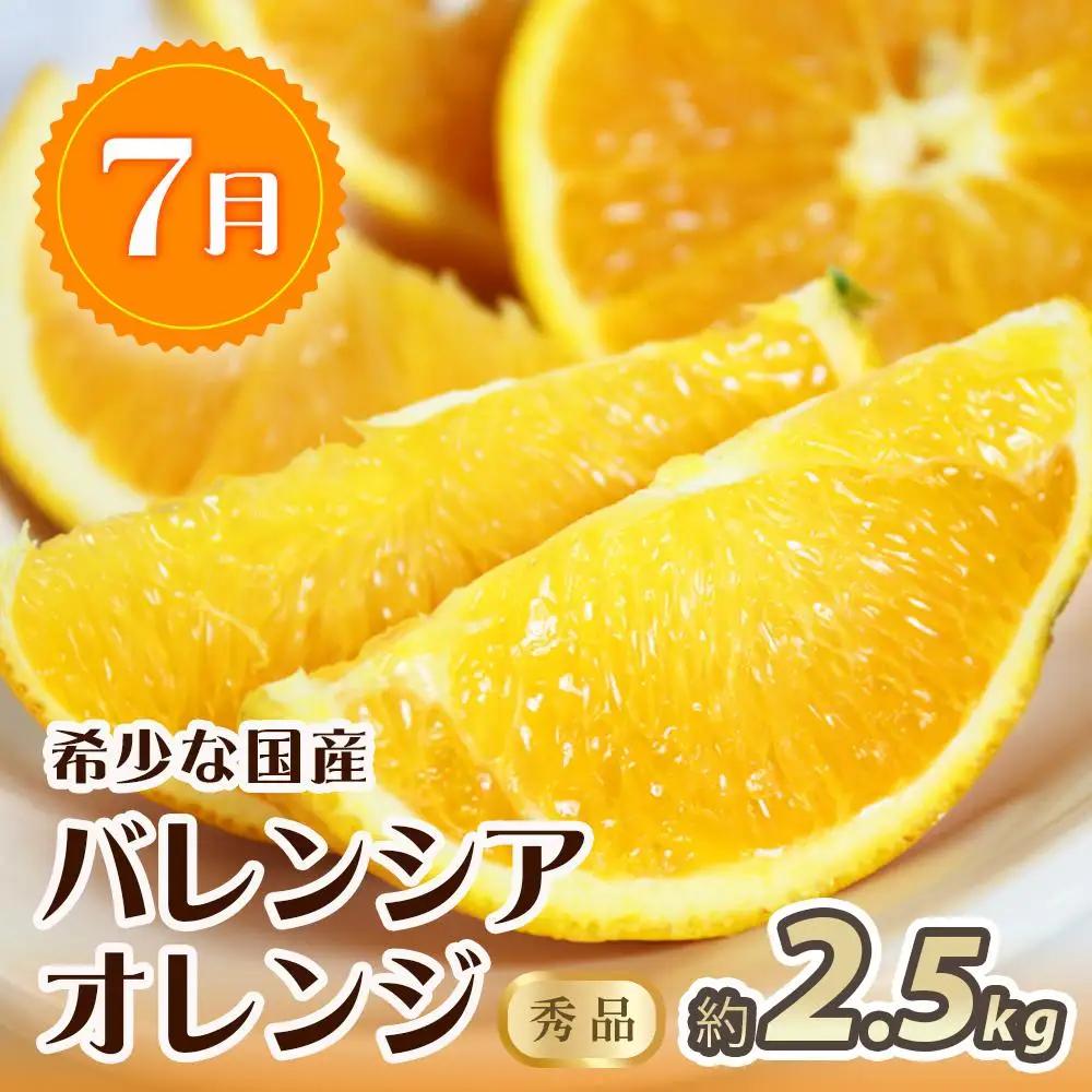 【1・4・7月 全3回】紀州和歌山産旬のフルーツセット（みかん・なつみ・バレンシア）【UT82】