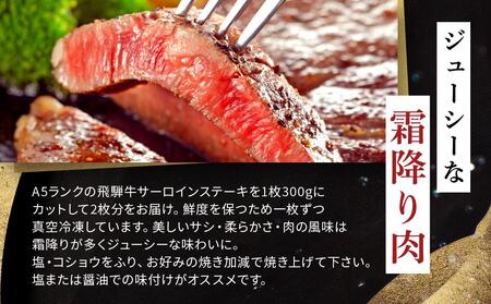 飛騨牛 A5 サーロイン ステーキ用 600ｇ（300g×2枚）（200g×2枚）｜国産 肉 牛肉 焼肉 ステーキ 和牛 黒毛和牛  A5等 級 グルメ おすすめ AD108【飛騨牛 和牛ブランド 飛