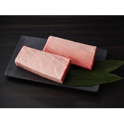 ふるさと納税 三浦市 天然本鮪　上脂トロサク　アイルランド産(1柵) |  | 02