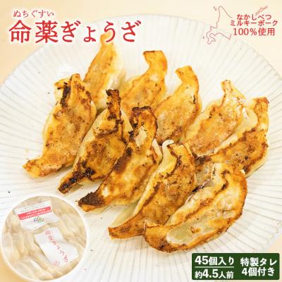 ふるさと納税 中標津町 【なかしべつミルキーポーク100%使用】 樹苞 命薬ぎょうざ45個(約4.5人前)