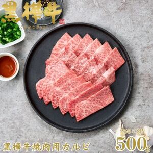 くまもと黒毛和牛 黒樺牛 A4～A5等級 牛肉カルビ 500g 250g×2【杉本本店】(美里町)【配送不可地域：離島】【1617228】