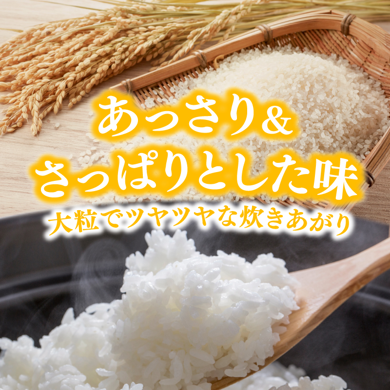 【新米先行予約】【6か月定期便】 萌えみのり 精米 5kg 【令和8年度産精米 白米 米 コメ お米 おこめ ブランド米 ご飯 ごはん 秋田 にかほ】