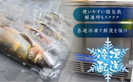 先行予約【2024年7月末～9月上旬発送】高原川の天然鮎5～8匹 鮎 あゆ アユ 川魚 魚 サカナ 天然 冷凍 [Q1350] seas46