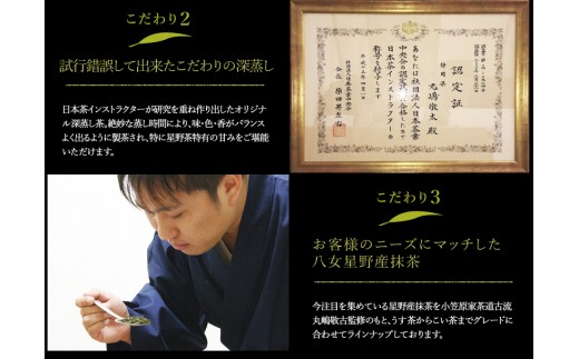【A5-253】八女星野深蒸し茶100g 3本詰め
