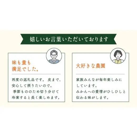 【 先行予約 】 瀬戸内 オーガニック 圓妙寺 ネーブル 9kg ( 25～35個程度 )+お試しオーガニックレモン1個 【2027年1月中旬以降発送】 