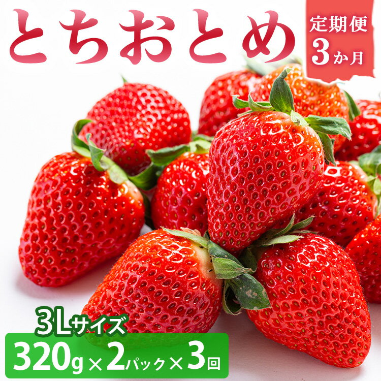 【ふるさと納税】＜いちご3か月定期便＞栃木県産とちおとめ 320g×2パック 3Lサイズ 3回 | 栃木県 壬生町 いちご 苺 イチゴ とちおとめ フルーツ 果物 新鮮 平積み 産地直送 2026年1月 2月 3月 ※2026年1月中旬頃より順次発送予定 ※離島への配送不可