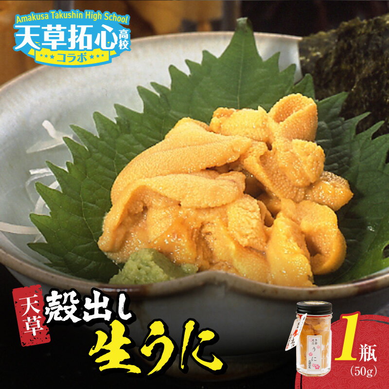 【ふるさと納税】殻出し 生うに 50g × 1瓶 うに 素潜り 無塩 瓶詰め 濃厚 味わい 海の恵み 海の幸 磯の香り 冷蔵 新鮮 栄養価 無菌海水 洗浄 ミョウバン不使用 そのままの美味しさ 熊本県 天草市 お取り寄せ お取り寄せグルメ 送料無料