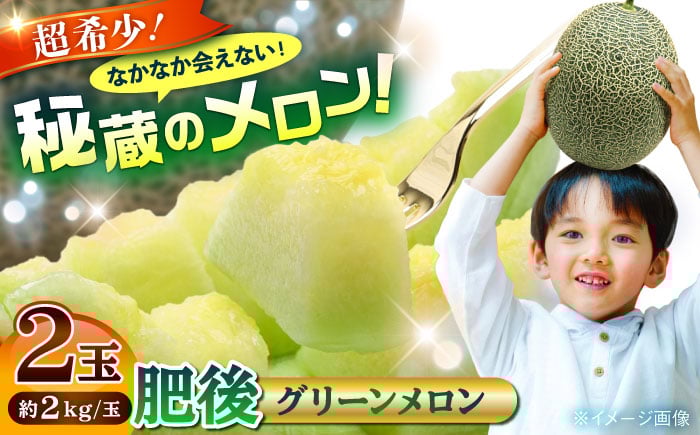 
            【2026年発送分 先行予約】【数量限定】肥後グリーンメロン 2玉 計4kg めろん 果物 フルーツ【合同会社 福福堂】 [AYAC045]
          