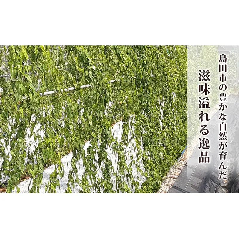 冷凍とろろ汁（さば味噌汁）225g 2個 とろろ 自然薯 じねんじょ 山芋 山かけ とろろご飯 そば うどん 小分け 冷凍 静岡 島田市