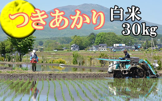 【2024年11月発送開始】 令和6年産 新米 つきあかり 精米 30kg （10kg×3袋） ／ 白米 産地直送 岩手県産 【かきのうえ】