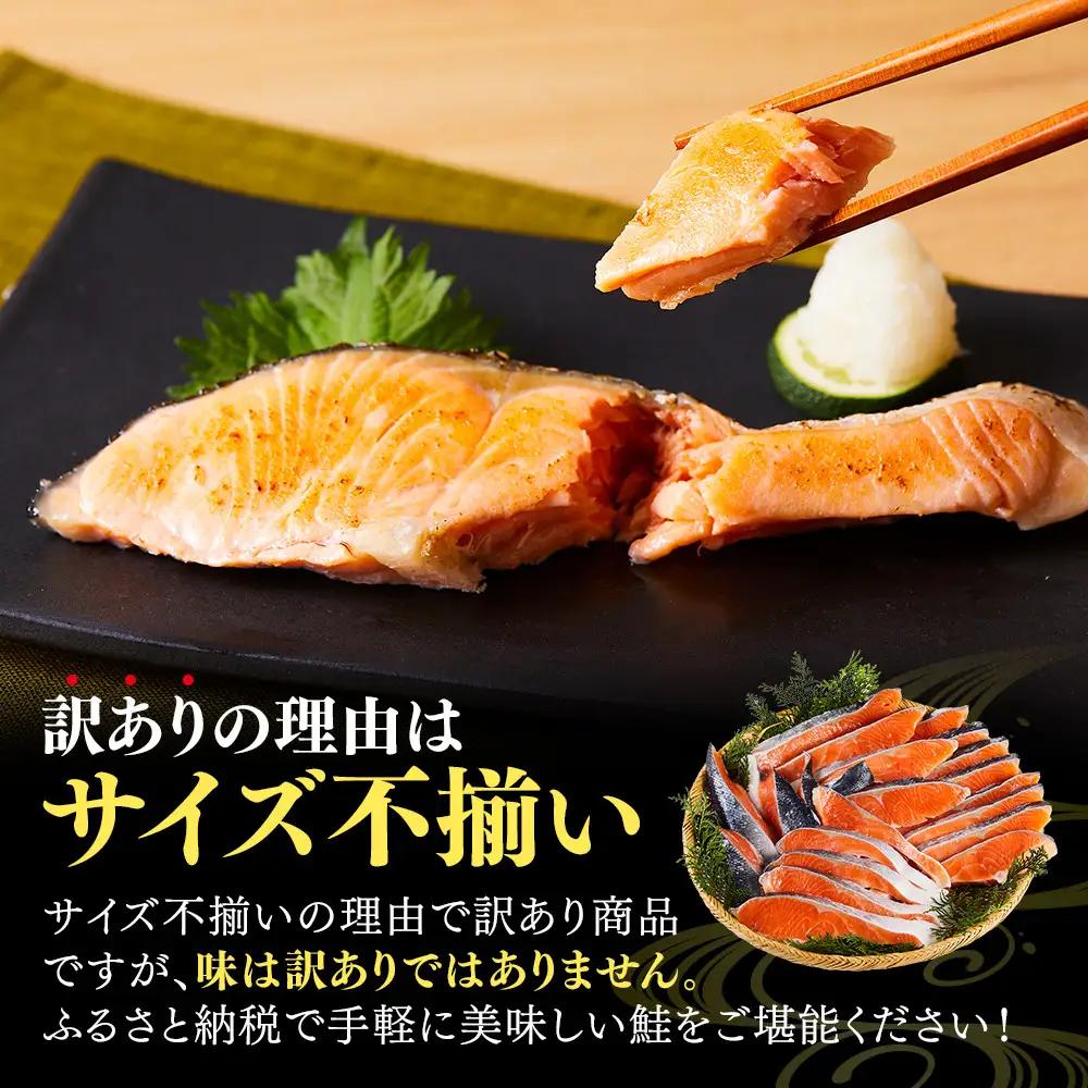 訳あり 定塩銀鮭切身(1kg) 【鳥取県 境港市】