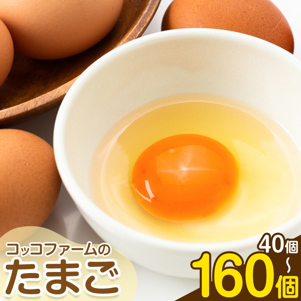 【ふるさと納税】コッコファームのたまご 選べる内容量 40個 80個 160個 コッコファーム《90日以内に出荷予定(土日祝除く)》熊本県 菊池市 卵 鶏卵 玉子 たまご 家庭用 熊本県産 九州産 冷蔵 送料無料
