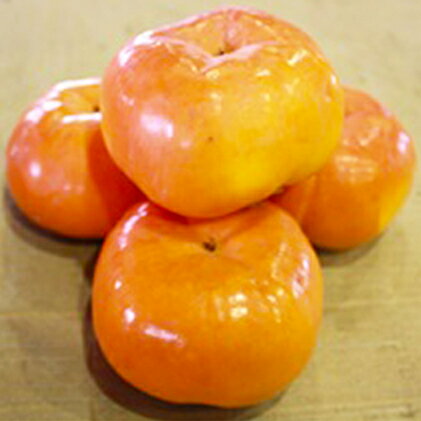 【ふるさと納税】一足早く味わえる甘柿　早秋柿（そうしゅうがき） 果物類 　お届け：2026年9月17日～2026年10月20日