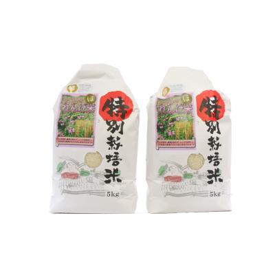ふるさと納税 臼杵市 【令和7年度産】こだわり農法の「れんげ米」精米(10kg) |  | 01