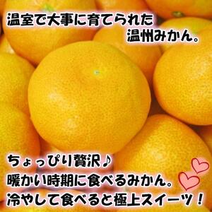 特撰品！和歌山有田の「ハウスみかん」【赤秀】約2.5kg 化粧箱入り（2025年5月以降発送）